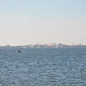  Charleston